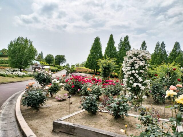 【小牧市民四季の森バーベキュー】炭付き2000円・手ぶらOK・子連れファミリーに超おすすめ｜料金・設備・予約方法を実体験で詳しく解説