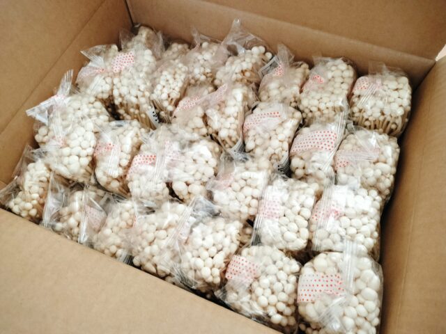 【小牧市】フードロス削減店「ベジブル」が激安すぎる!えのきが1袋3.3円の破格の値段|味の感想を正直レビュー