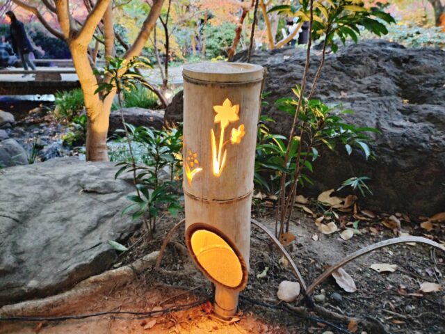 【白鳥庭園 紅葉2025】昼と夜で表情が変わる!青紫のライトアップが美しい庭園レポ