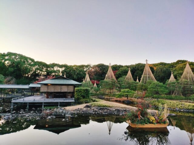 【白鳥庭園 紅葉2025】昼と夜で表情が変わる!青紫のライトアップが美しい庭園レポ